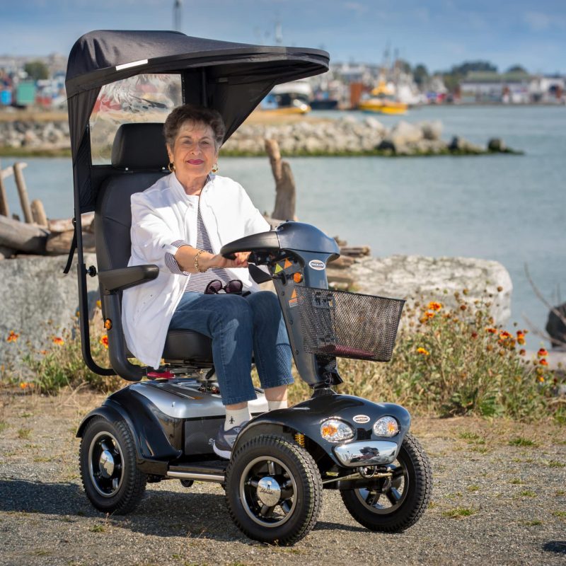 Eclipse Scooter Canopy - Image 4