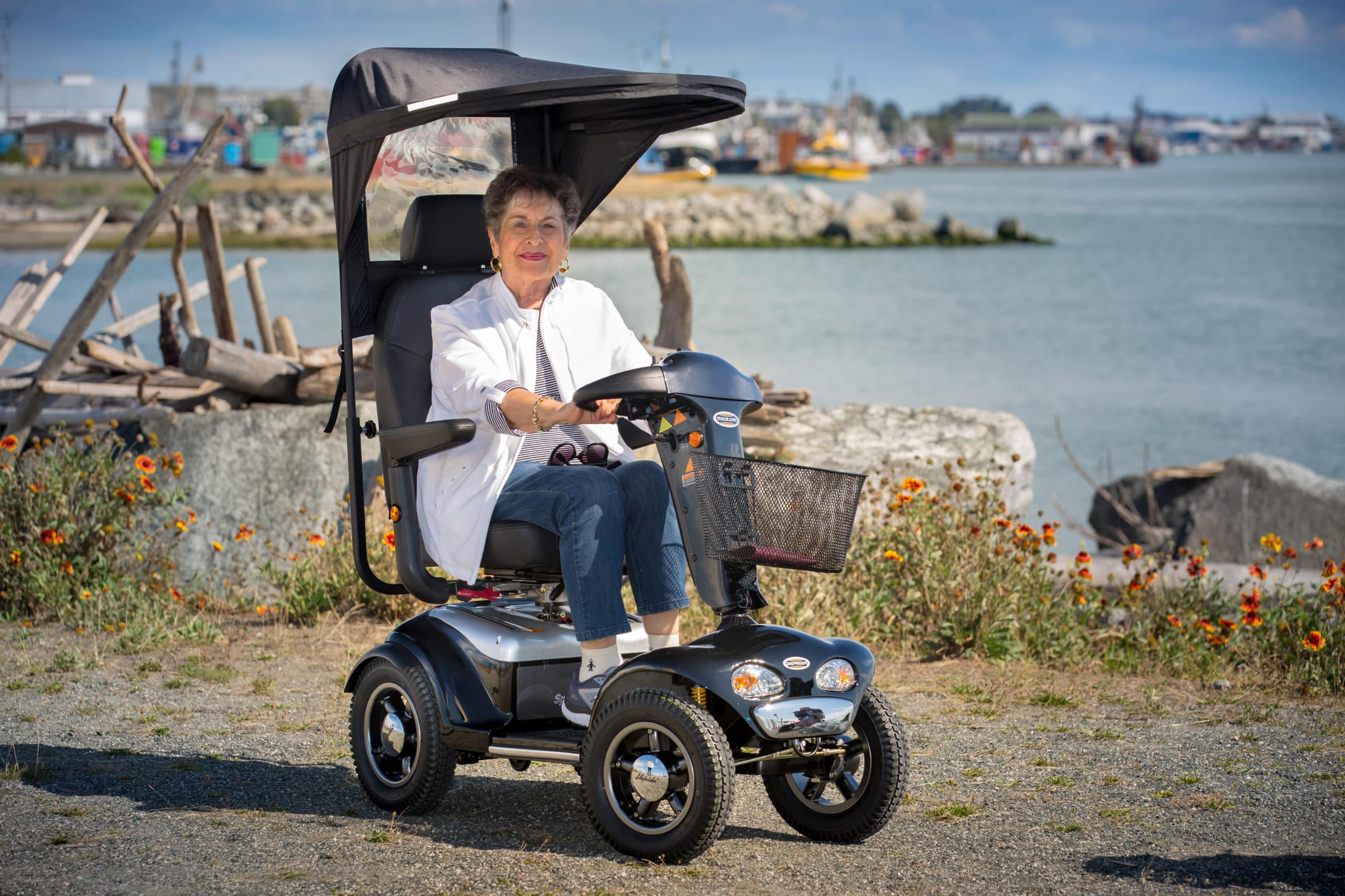 Eclipse Scooter Canopy - Image 4