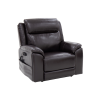 Evolution-LC435-chestnut